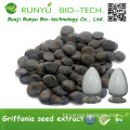 Bulk Stock for Natural Griffonia Seed Extract 5-HTP
